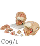 �����͌^C09/1�A6�����t