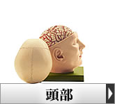 �l�̖͌^�E�����͌^