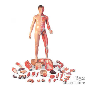 B52 �ؓ���U���g�嗼���^39�������f���A�A�W�A�d�l