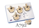 ���ŁA5�Z�b�g�@A792