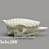 アルマジロ頭蓋骨模型