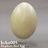 鳥類 BCKO005　エピオルニス（象鳥）の卵模型
