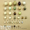 鳥類 BCKO400　鳥の卵模型36個セット