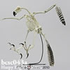 鳥類の骨格 BCSC043A　オウギワシの全身骨格模型
