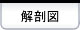 ��U�}