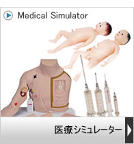 ��ÃV�~�����[�^�[�E�Ō싳�狳��
