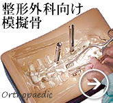 整形外科向け演習用模擬骨