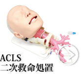 二次救命処置・ＡＣＬＳ