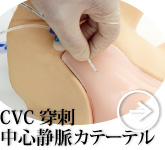 CVC穿刺・中心静脈カテーテル