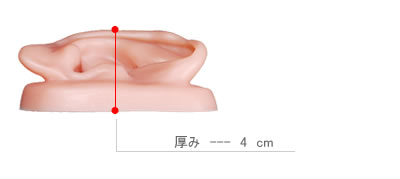 耳模型　N15