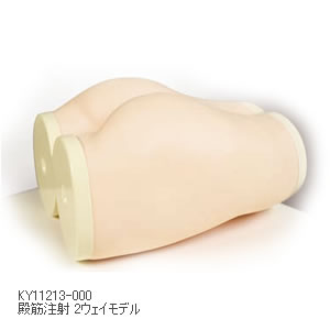 KY11213-000 殿筋注射 2ウェイモデル