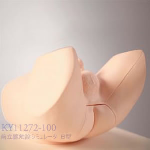 前立腺触診シミュレータ　Ｂ型 KY11272-100