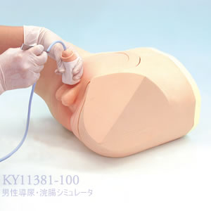 男性導尿・浣腸シミュレータ KY11381-100