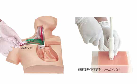 CVC穿刺シミュレータでの実習前の事前学習