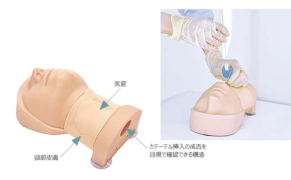 輪状甲状間膜切開モデルでの穿刺・切開のトレーニング