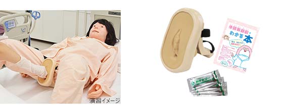 骨盤臓器脱(子宮脱)モデル