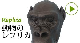 動物レプリカ