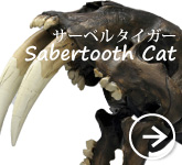サーベルタイガー